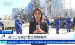 惠阳记者爆料案件视频播放,案情细节曝光