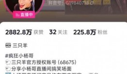 李丽欣被人爆料视频大全,揭秘娱乐圈不为人知的真相