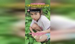 迷糊吃瓜女孩在线观看免费,揭秘热门剧集幕后故事