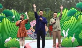 爆料忠哥离婚视频大全最新,揭秘娱乐圈明星婚姻背后的真相