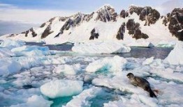 南极之迷爆料事件视频,独家视频爆料事件深度解析