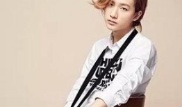 李宏毅哥哥爆料视频,幕后真相大曝光