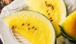 免费吃瓜最新入口,畅享无界限的娱乐盛宴