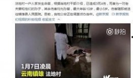 镇雄房子爆料事件视频,真相与争议交织