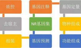 澎湃新闻爆料流程图,如何高效处理新闻线索