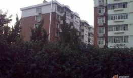 天津顺驰桥爆料案件最新,真相浮出水面，疑云终散