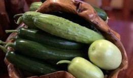 吃瓜的康县网红,揭秘网络红人的魅力与争议