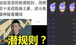 宝哥八卦爆料直播间视频,八卦爆料视频精彩回顾