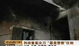 惊天大案爆料视频大全播放,视频大全播放背后的震撼真相