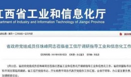 江西最新爆料消息新闻网,揭秘重大事件背后的真相