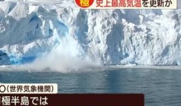 南极最新爆料新闻视频,揭秘未知的冰原奥秘