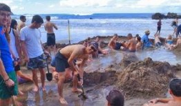 神奇海滩在线观看