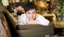 爆料娱乐圈陈晓简介图片,娱乐圈爆料中的魅力与实力并存
