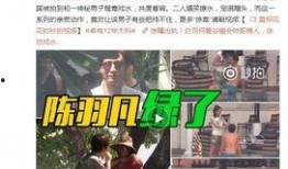 芒特父亲爆料视频大全最新,揭秘足球天才的成长历程与心路历程