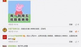 小猪猪爆料视频,幕后真相大曝光！