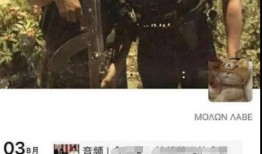 战地记者爆料倪海杉视频,真相背后引人深思
