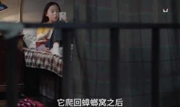 小黄姐姐爆料视频大全,揭秘娱乐圈不为人知的幕后故事