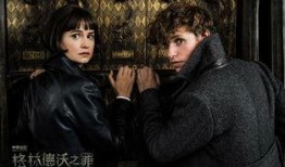 于罪在线观看,揭秘网络世界的犯罪暗流