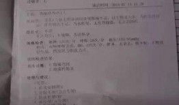 某火锅店爆料事件视频播放,一探究竟背后的真相