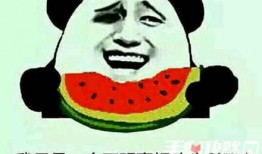 娱乐吃瓜酱专属梗,吃瓜酱带你领略幕后风云