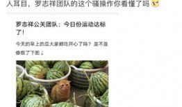 所有网红吃瓜的网站,揭秘吃瓜网站热门事件大盘点