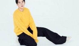 袁野最新爆料,揭秘娱乐圈惊人内幕