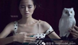 希格雯最新爆料新闻,揭秘娱乐圈惊人内幕！”