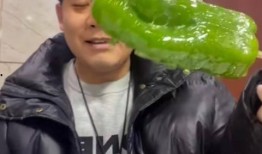 盘锦网红吃瓜事件视频,一场网络热议的瓜田奇遇