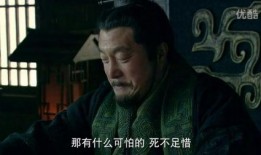 楚汉传奇全集在线观看完整版,史诗般的争霸传奇，再现风云变幻的战国时代