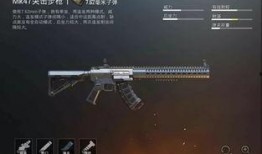 新枪械皮肤爆料视频,炫酷设计引期待，游戏体验再升级