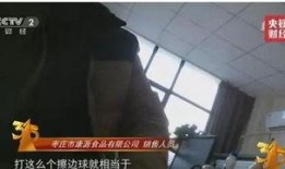 视频爆料食品怎么处罚,严惩不贷，守护食品安全