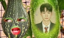吃瓜大王特效视频大全免费观看,带你领略视觉盛宴