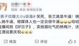 好日子直播爆料视频,独家视频内容深度解析