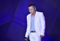 猪皮娱乐爆料王杰,猪皮娱乐爆料背后的真相与传奇人生