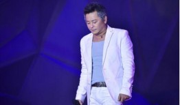 猪皮娱乐爆料王杰,猪皮娱乐爆料背后的真相与传奇人生