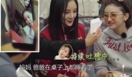 李小璐出轨爆料视频,真相与争议