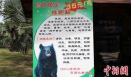 南宁动物园爆料视频最新,神秘动物亮相，揭秘动物世界奇观！