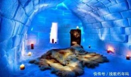 深圳媒体新闻爆料电话,揭秘新闻背后的真相