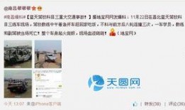 微博 新闻爆料,最新热点事件引发社会关注