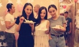 陈淑兰闺蜜爆料视频合集,揭秘不为人知的背后故事