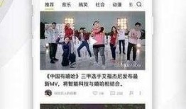 大陆娱乐头条爆料视频大全,揭秘热门视频背后的精彩故事
