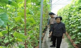 诸暨网红吃瓜事件始末是真的吗,真相揭秘与网络舆论风暴