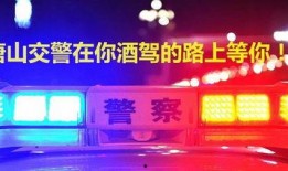 唐山酒吧爆料视频大全下载,揭秘夜店风云背后的真相