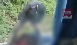 现场爆料丈夫被杀视频