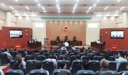 芜湖杨峰爆料案件最新,最新进展与争议焦点解析