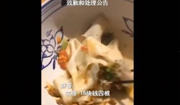 直播爆料白鹿视频,揭秘幕后故事，带你走进明星真实生活