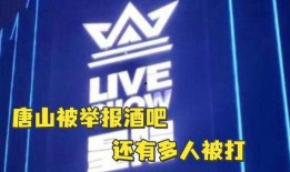 唐山酒吧爆料视频大全下载,揭秘夜店风云背后的真相