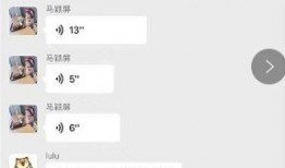 网红被前任爆料视频大全,网红隐私曝光，揭秘网络红人背后的真相