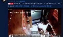 八点爆料家暴视频大全,八点爆料家暴视频大全深度解析