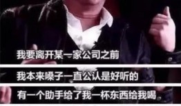 猪皮娱乐爆料王杰,猪皮娱乐爆料背后的真相与传奇人生